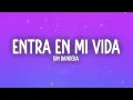 Sin Bandera - Entra En Mi Vida (Letra/Lyrics)