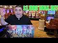 Download Lagu Once in a LIFETIME JACKPOT That SHOCKED the Entire Hard Rock Tampa