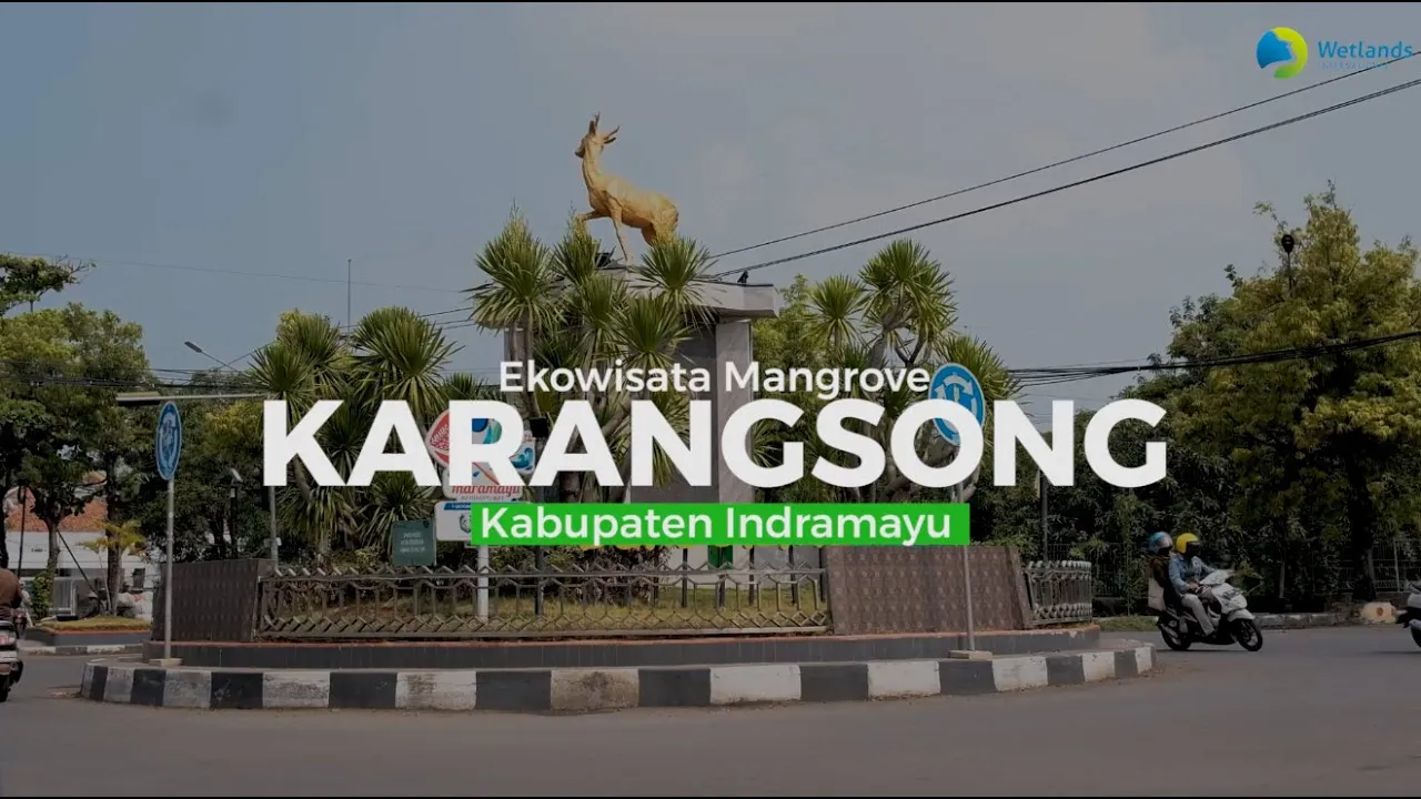 Ekowisata Hutan Mangrove Karangsong - Kabupaten Indramayu