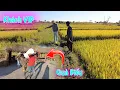 Download Lagu Linh Philip || Tin Bất Ngờ !  Sở Nông Nghiệp Của Tỉnh Sẽ Đến Thăm Việt Phi Farm !