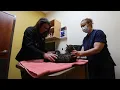 Veterinary pet care shortage in Sonoma County