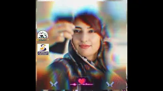 شرنگ منی دل کشء تہ Shamsproductionnall Song Shortvideos Shams Music Viral Balochi Newsong 
