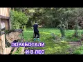 Download Lagu #lifeinfinland#garden#forest We worked in the garden and at home. We found an unusual, very rare ...
