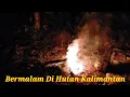 Download Lagu Serunya Suara Malam Di Hutan Kalimantan.