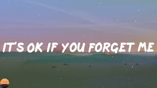 Download Astrid S - It's Ok If You Forget Me (Lyrics) MP3