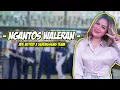 Download Lagu NGANTOS WALERAN - ADE ASTRID X GERENGSENG TEAM