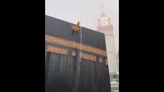 هي جنة طابت وطاب نعيمها  هي جنة طابت وطاب نعيمها