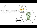 Listing File Folder Commands ls