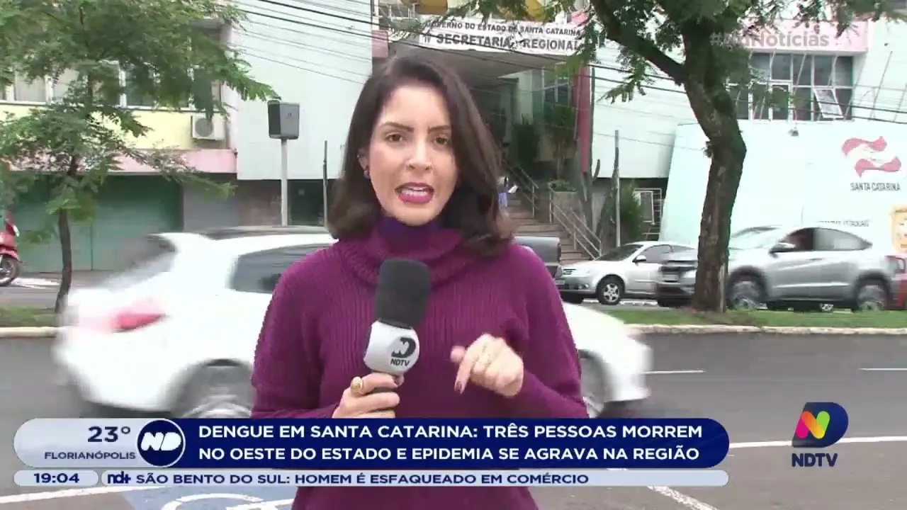 Três mortes por dengue foram registradas no oeste de Santa Catarina
