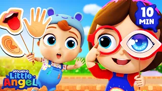 Baby John Learns the 5 Senses! 👀👂 | Kids Cartoons and Nursery Rhymes