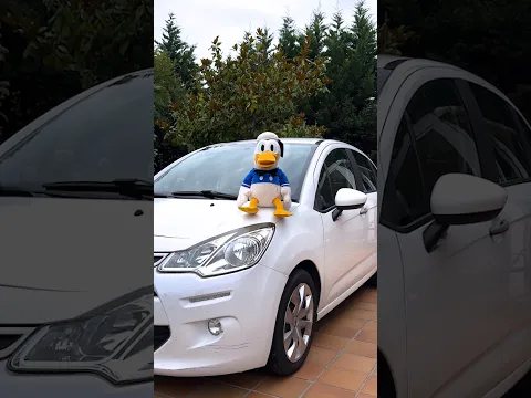 Hay un SECRETO en tu coche...🦆 🚙