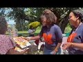 Norfolk Federation of Teachers gives away 5 000 books for students and families