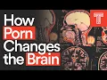 How Porn Changes the Brain Neuro-Experts Explain