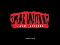 Spring Awakening - Mama Who Bore Me w/lyrics