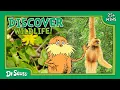 Learn About Wildlife Animals Ecosystems The Lorax Nature Keepers Club Dr Seuss