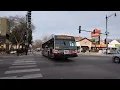CTA Nova Bus LFS 8629 8272 On 82