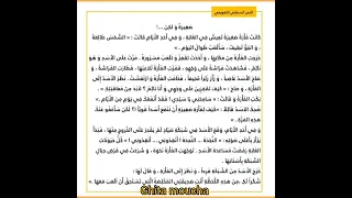 النص السماعي التقويمي صغيرة ولكن المفيد في اللغة العربية المستوى الرابع ابتدائي  النص السماعي التقويمي صغيرة ولكن المفيد في اللغة العربية المستوى الرابع ابتدائي