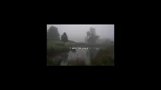 فرحين بما اتاهم الله من فضله المنشاوي قران كريم تصميمي اكسبلور ستوريات دينية أطمئن هدوء 