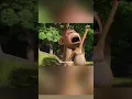 Download Lagu Animals funny short #Ashish​​​​​​ Pal Vlogs #sourav​​​​​​ joshi vlogs​ #funny #comedy#funny shorts