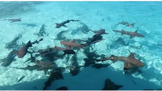 SAILING TO EXUMAS BAHAMAS