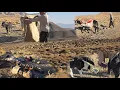 Download Lagu Momenten die niemand heeft gezien | De kudde vergezellen tijdens een korte nachtelijke trek en de p