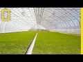 Lagu Iceland Is Growing New Forests for the First Time in 1,000 Years | Short Film Showcase