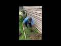 How to prepare the soil for planting a new rose - with Brian Wagner