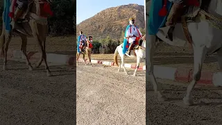 علفة قصبةبلةبربع ادرار وعدة سيدي يحيى تلمسان الحفظ والسلامة 