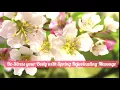 City Magnolia Luxurious Day Spa - Spring Special