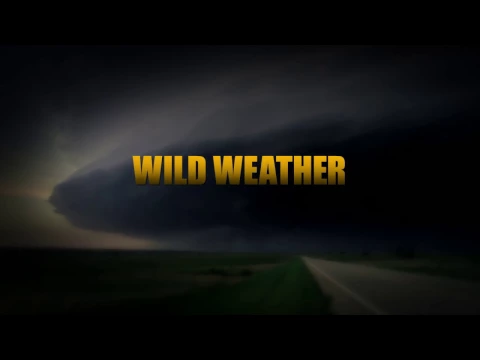 WILD WEATHER preview