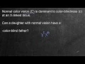 Mendelian Genetics Example Problem 1