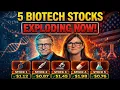 5 Biotech Stocks Under 5 That Could Explode This Year