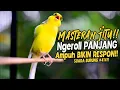 Download Lagu SUARA BURUNG |414| Kenari GACOR PANJANG INI Cocok untuk Masteran KENARI PAUD dan Kenari Macet BUNYI Download Lagu SUARA BURUNG |414| Kenari GACOR PANJANG INI Cocok untuk Masteran KENARI PAUD dan Kenari Macet BUNYI