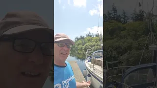 Sunny Scotland #parkinsonsdisease #sailing #parkinsonsuk