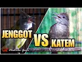 Download Lagu KAPAS TEMBAK VS CUCAK JENGGOT GACOR TEMBAKAN BESETAN KASAR COCOK BUAT MASTERAN MURAI BATU, CUCAK IJO