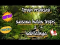 Download Lagu terapi alam terbukti ampuh untuk murai batu | cucak ijo | Kacer | pleci | Anis | Download Lagu terapi alam terbukti ampuh untuk murai batu | cucak ijo | Kacer | pleci | Anis |