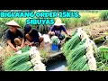 Download Lagu BIGLAANG harvest 25kls dahon ng sibuyas