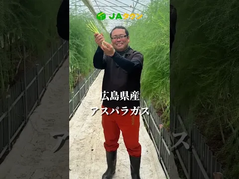 アスパラガス【広島県】～JAタウン生産者インタビュー～ #JAタウン #全農 #アスパラ #アスパラガス