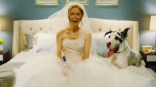after ten years of marriage the wife found out that her husband had several families