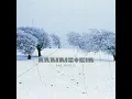 Das Modell (Single Version)