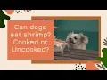Can dogs eat shrimp Cooked or Uncooked