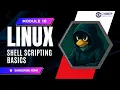 Linux Module 10 - Shell Scripting Basics