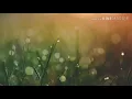 Download Lagu Dudu roso welas - full lirik