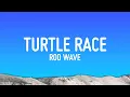 Rod Wave - Turtle Race