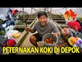 Download Lagu SESER LANGSUNG DI PETERNAKAN IKAN KOKI TERSELUBUNG DI DEPOK! GAK NYANGKA PANAS BANGET DIDALAM SINI!