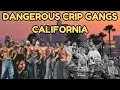 The Most Dangerous Crip Gangs in Los Angeles Full Documentary