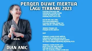 PENGEN DUWE MERTUA DIAN ANIC LAGU TERBARU 2023 || Lyric Video ||