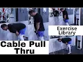 Cable Pull Throughs for Glutes