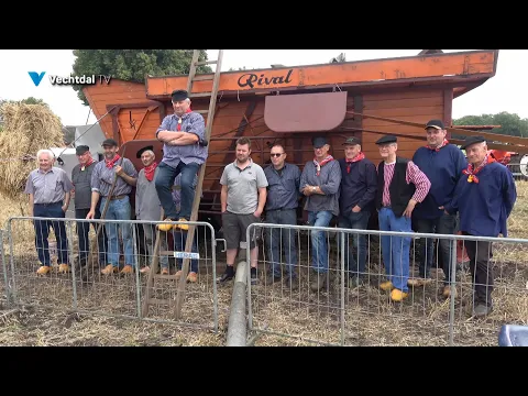 Holthoner oogstdag met gerestaureerde dorsmachine