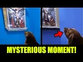 Download Lagu Dog Stares At Jesus On The Cross And Won’t Look Away